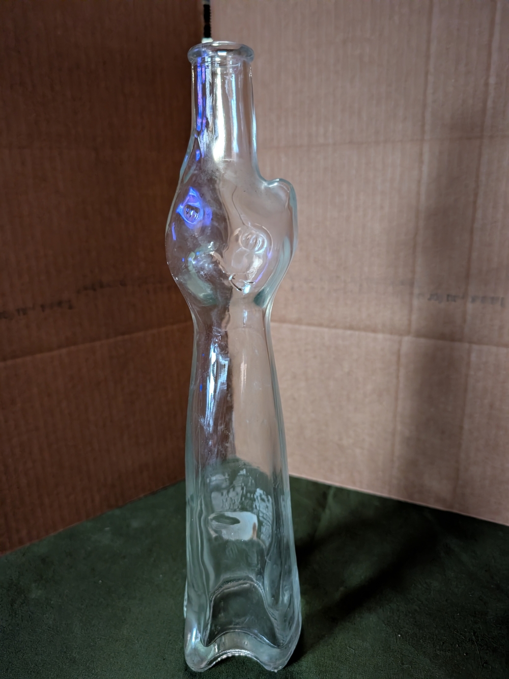 Clear Glass Decorative Bottle Vase - Modern Home Art
